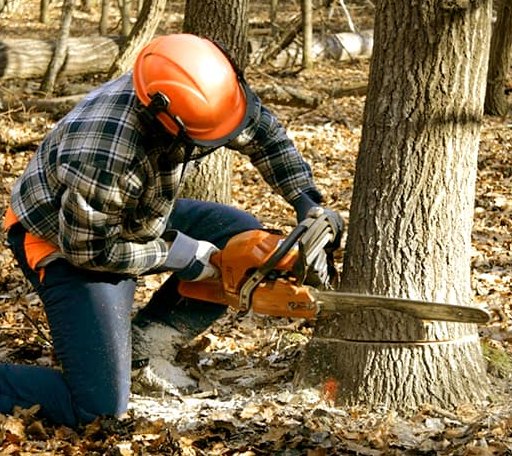 Tree Removal in Headrick, OK